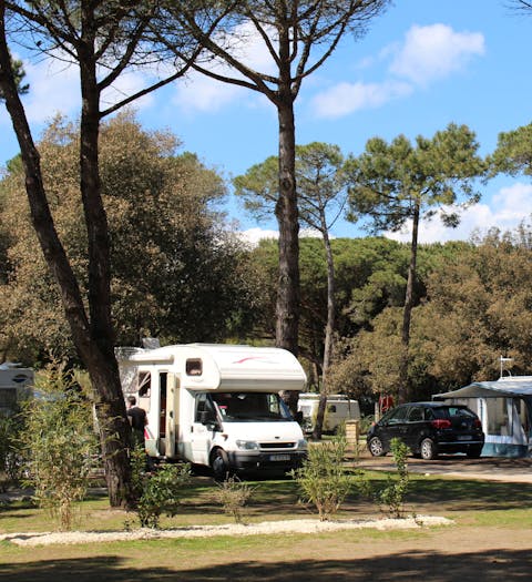 Camping La Grainetière
