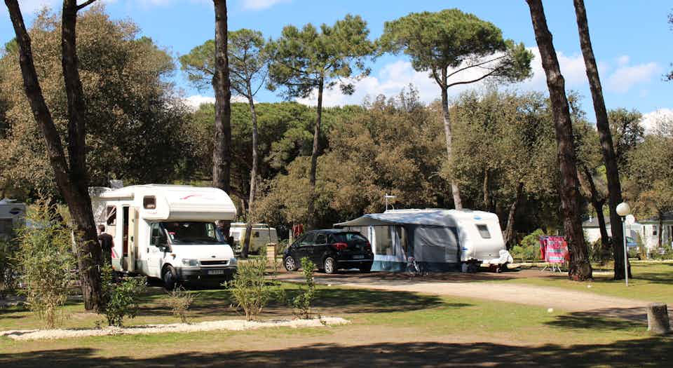 Camping La Grainetière