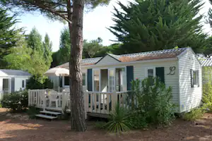 Chalet mit Holzveranda, weißen Stühlen und Sonnenschirm, umgeben von Bäumen und Grünpflanzen im Campingbereich.