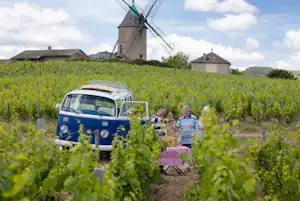 Camping La Grappe Fleurie - Ausflüge in die Weinberge in der Umgebung des Campingplatzes