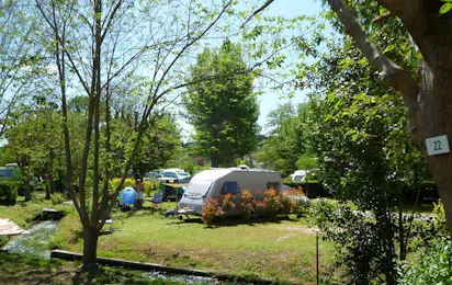 Camping La Grenouille