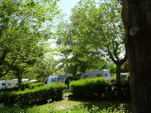 Campingplatz im Grünen mit Wohnmobilen und Wohnwagen zwischen Hecken und Bäumen.