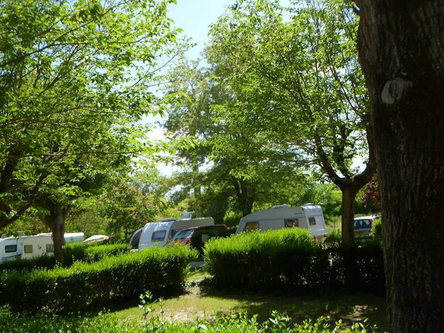 Camping La Grenouille