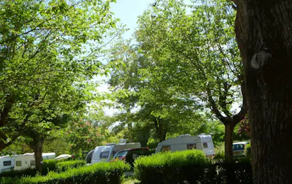 Camping La Grenouille