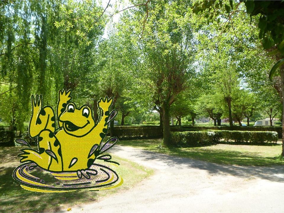 Camping La Grenouille