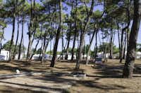 Camping La Grière - Kinderspielplatz auf dem Campingplatz