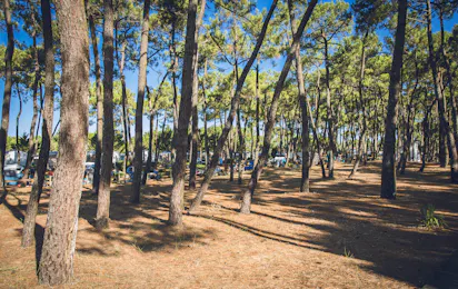 Camping La Grière