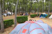 Camping La Grière - Zeltplätze im Grünen