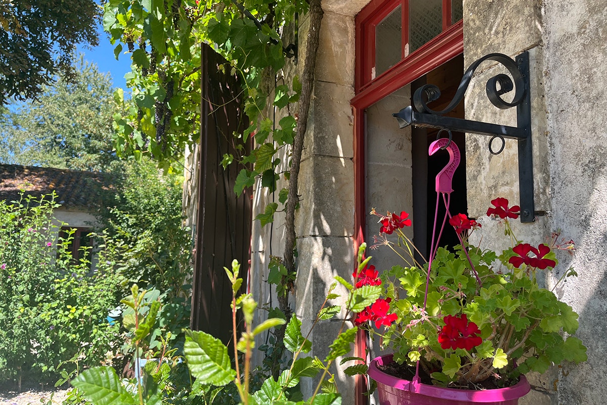 Hauswand am Campingplatz mit rotem Fenster, Blumen in pinkem Topf und Rankengewächsen vor Steinmauer.