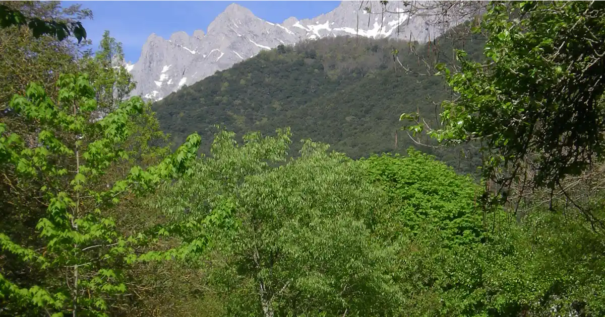 Camping La Isla - Picos de Europa