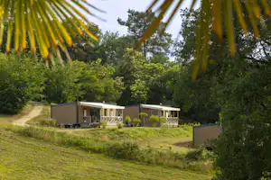 Reihen von Camping-Bungalows auf einem Hang mit Terrasse, umgeben von Bäumen und Palmen im Hintergrund.