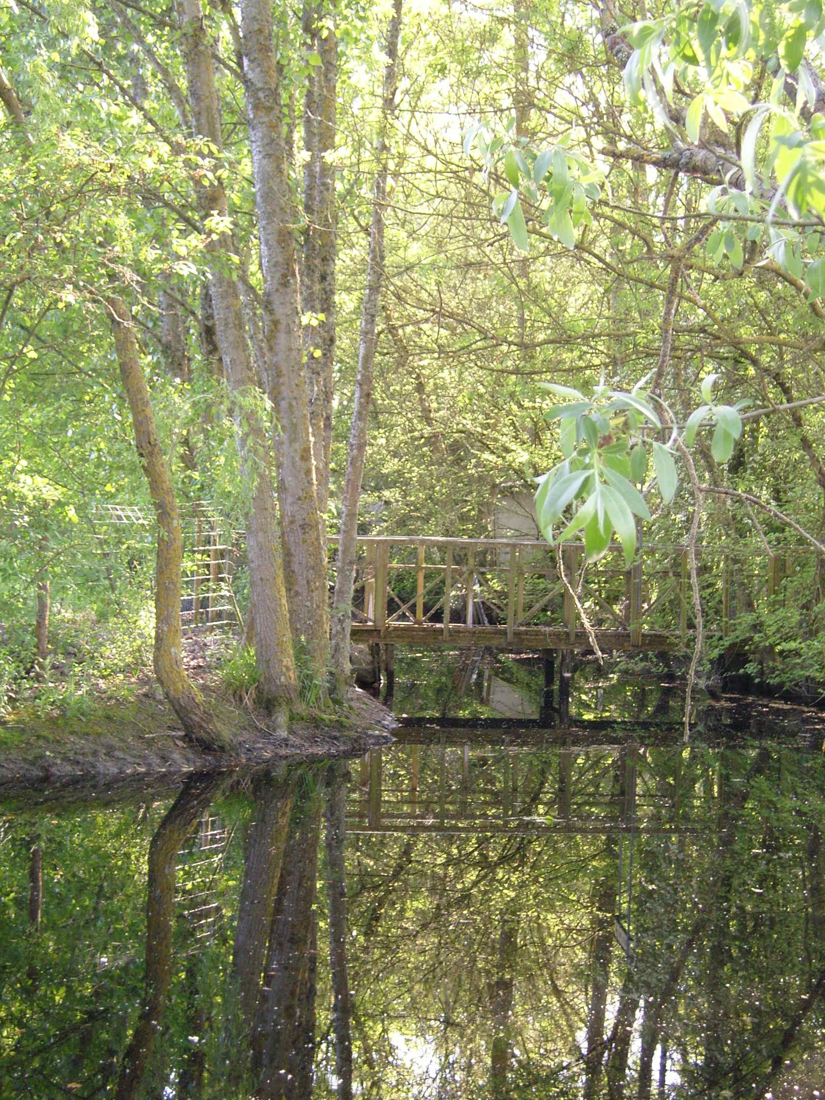 Camping la Loire Fleurie