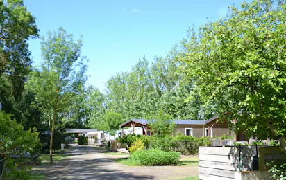 Camping la Loire Fleurie