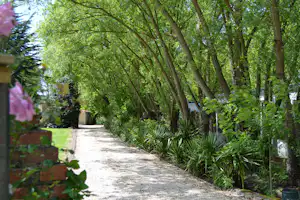 Schmaler Campingweg aus Kies zwischen Bäumen und Hecken, mit Blumenbeeten links und grünen Pflanzen am Rand.