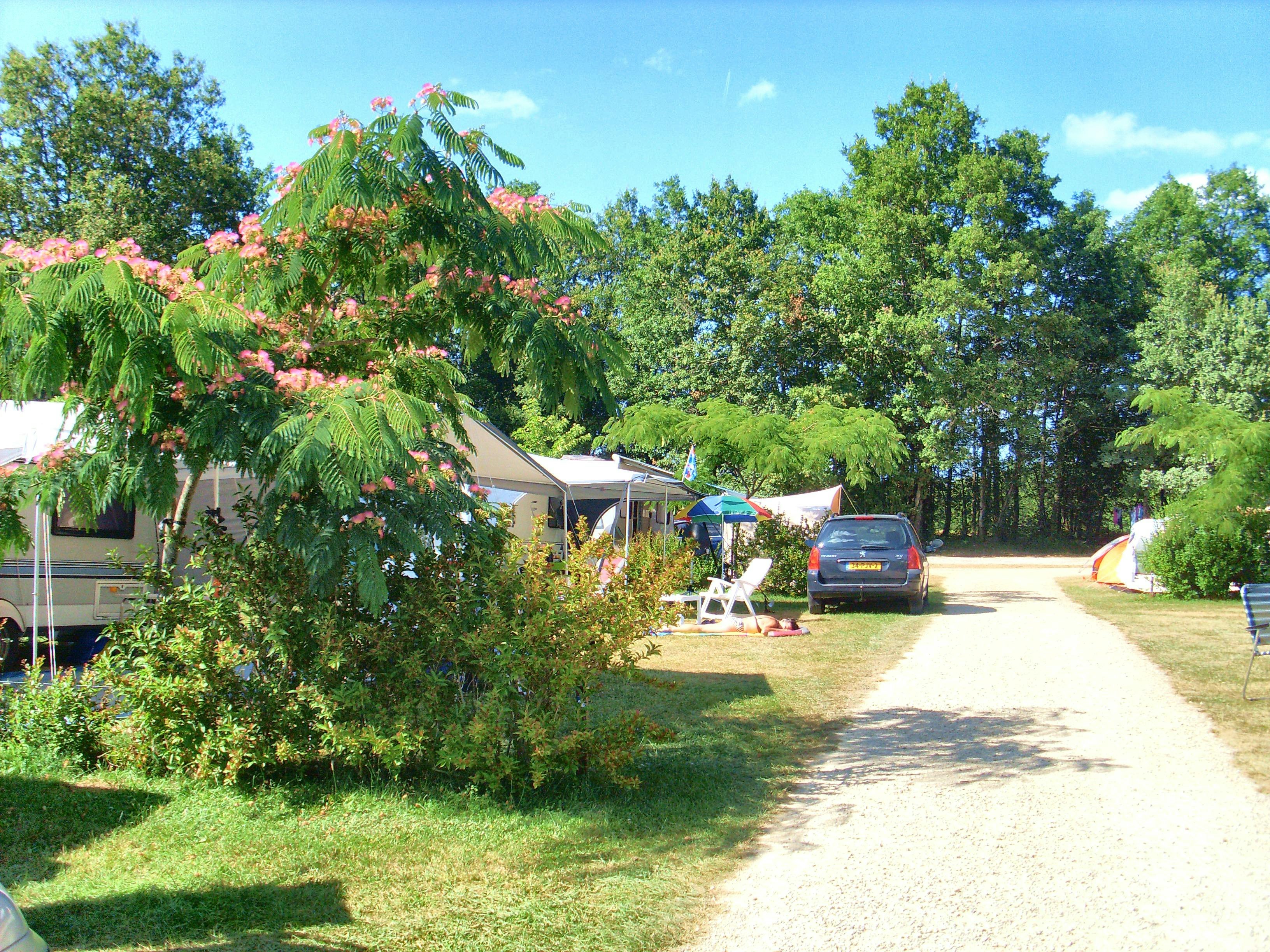 Camping La Magaudie - Standplätze zwischen den Bäumen auf dem Campingplatz