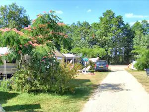 Campingplatz-Allee mit Wohnwagen und Auto, daneben ein Mobilheim und Bäume im Hintergrund.
