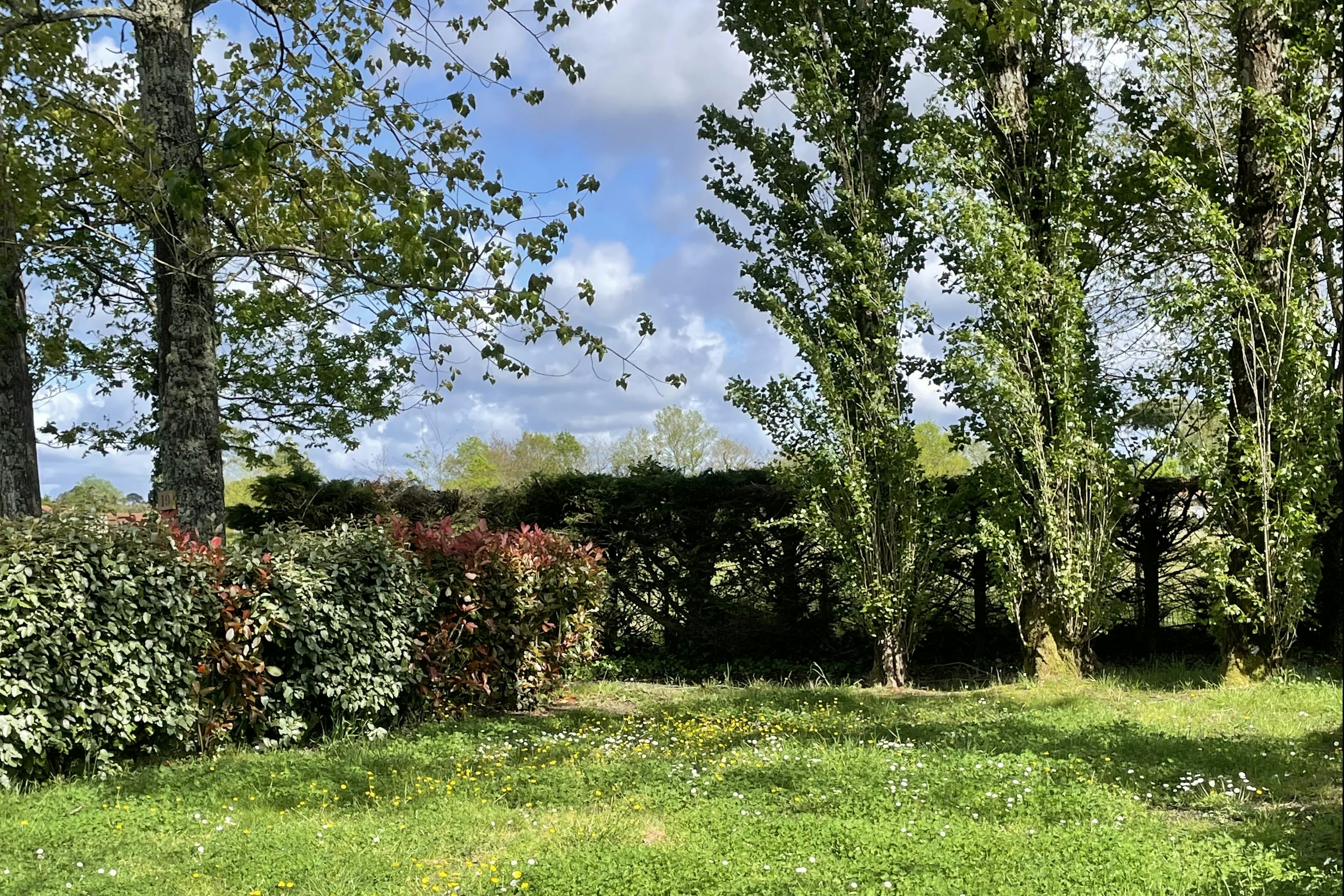 Grüner Campinggarten mit Rasen, Hecken und hohen Bäumen, im Hintergrund ein Stück Himmel und Landschaft.