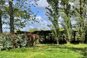 Grüner Campinggarten mit Rasen, Hecken und hohen Bäumen, im Hintergrund ein Stück Himmel und Landschaft.