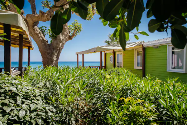 Alannia Costa Dorada