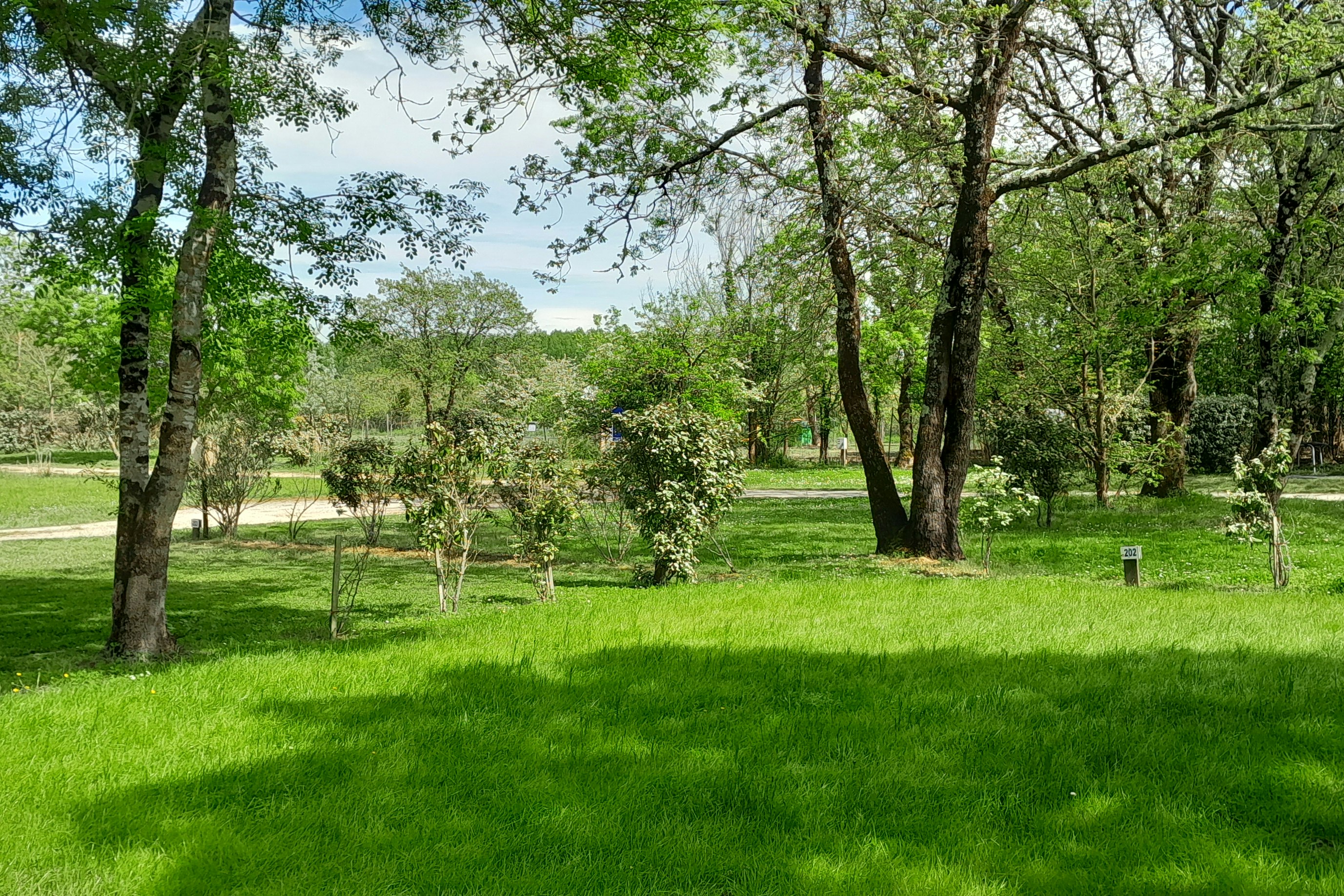 Camping Le Transat - Standplatzwiese auf dem Campingplatz