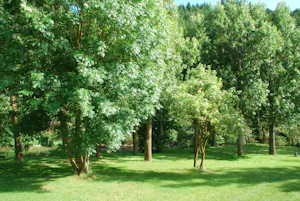Camping La Mouline