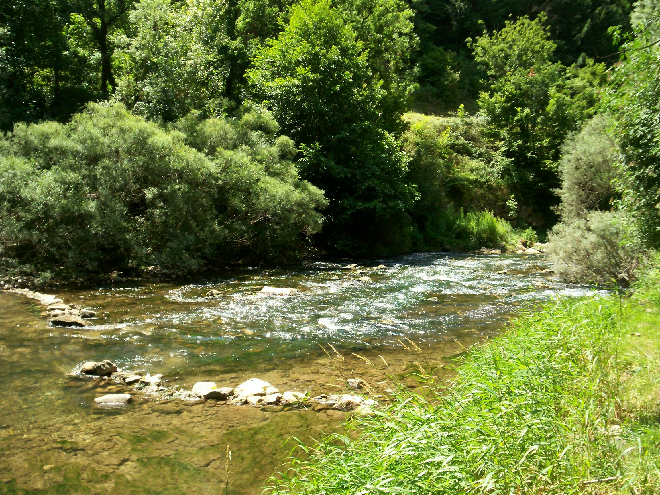 Camping La Mouline