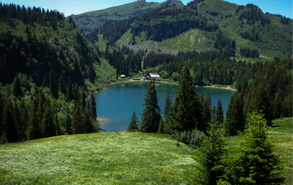 Camping La Murée
