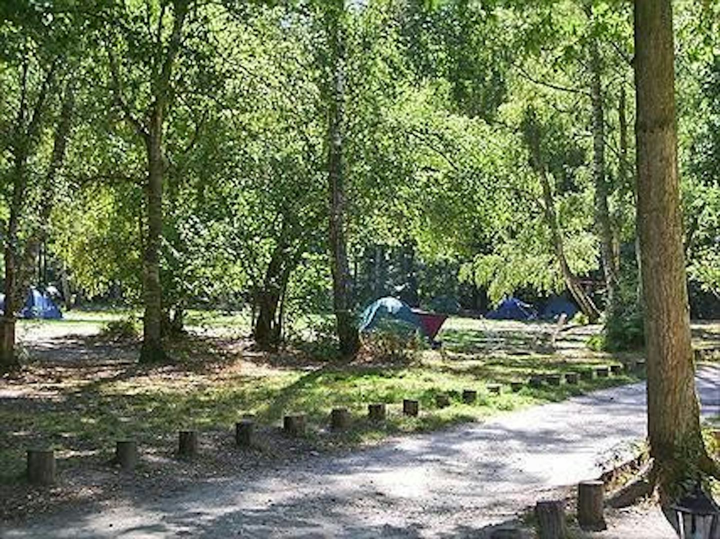 Camping La Musardière