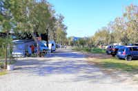 Camping la Naranja - Stellplätze und Parkplätze auf dem Campingplatz