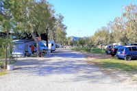Camping la Naranja - Stellplätze und Parkplätze auf dem Campingplatz