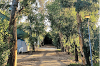 Camping la Naranja - Stellplätze und Zeltplätze im Schatten der Bäume