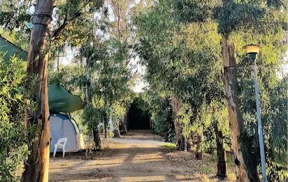 Camping la Naranja