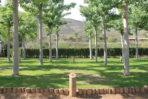Camping La Noguera - Stellplatz vom Campingplatz auf grüner Wiese