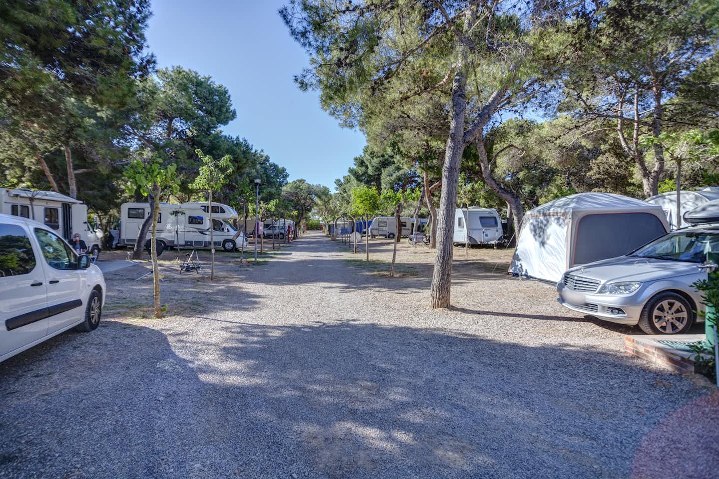 Camping La Noria  -   Wohnwagen- und Zeltstellplatz vom Campingplatz zwischen Bäumen