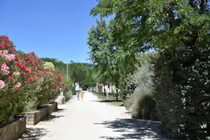 Campingweg mit bunten Blumenbeeten, hohen Bäumen und geparkten Autos am Rand, zwei Personen gehen entlang.