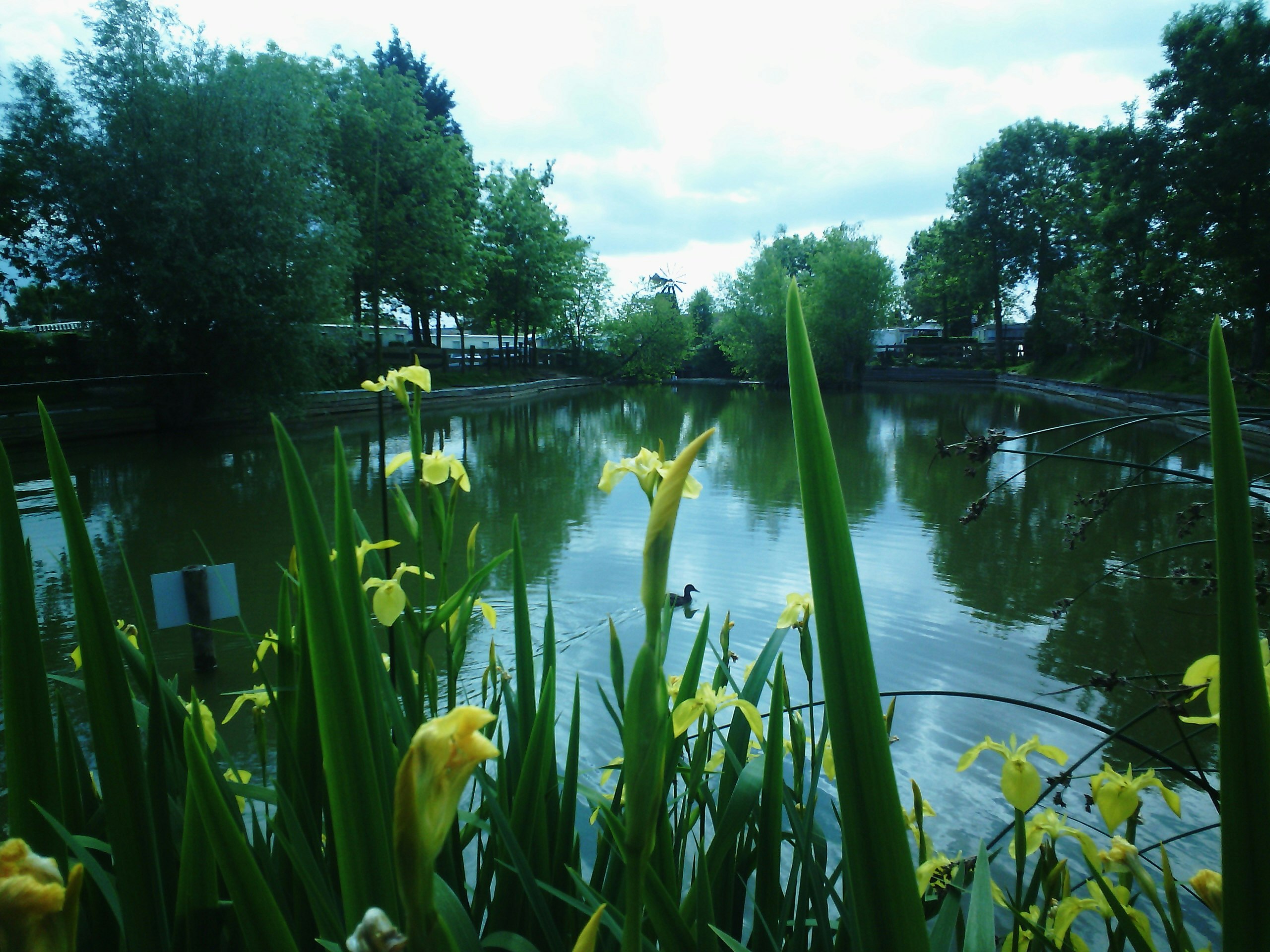 Camping La Paille Haute