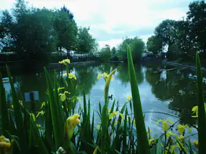 Ruhiger See mit Schilf im Vordergrund, Wasserfläche und Bäume am Ufer, im Hintergrund Boote und Stege.