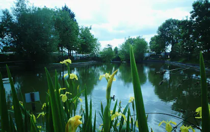 Camping La Paille Haute