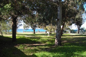 Camping La Palma - Wohnwagen- und Zeltstellplatz zwischen Bäumen mit Blick auf das Mittelmeer im Hintergrund
