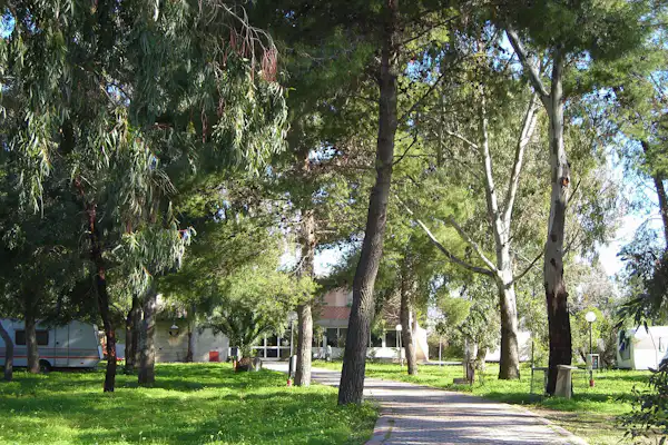 Camping La Palma