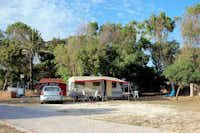 Camping La Palma - Wohnwagen auf dem Stellplatz vor Bäumen
