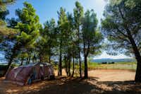 Camping la Peiriere