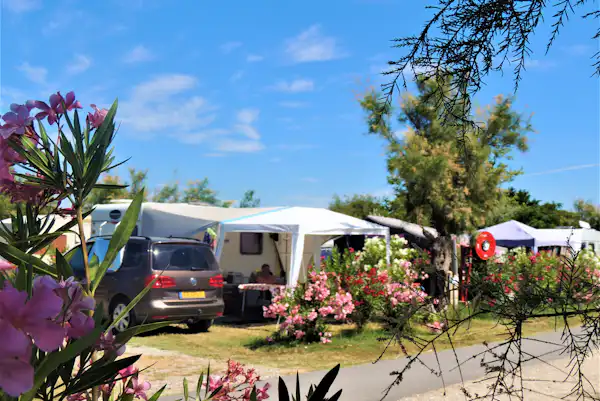 Camping La Pépinière