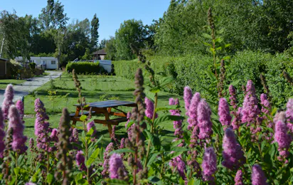 Camping La Petite Forêt