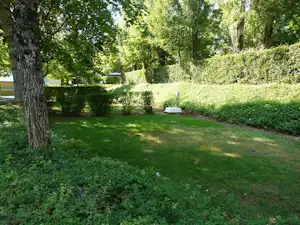 Grüne Rasenfläche mit Bäumen und Hecken auf einem Campingplatz, im Hintergrund ein Weg und ein kleines Gartenbeet.