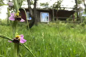 Camping La Peyrugue - Mobilheim mit Terrasse im Grünen