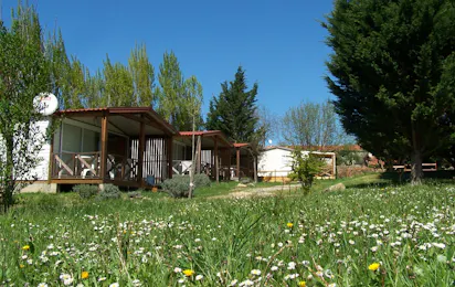 Flower Camping La Pibola