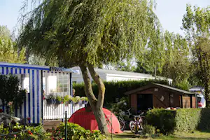 Zelt und Wohnwagen auf einem Campingplatz im Grünen, mit Fahrrad und Hecke im Vordergrund.