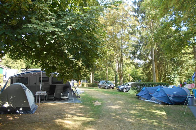 Camping La Pinède - Wohnwagen- und Zeltstellplatz unter Bäumen auf dem Campingplatz