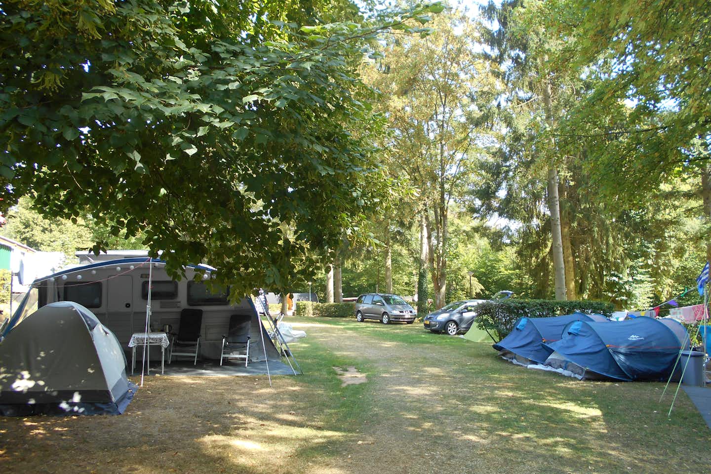 Camping La Pinède - Wohnwagen- und Zeltstellplatz unter Bäumen auf dem Campingplatz